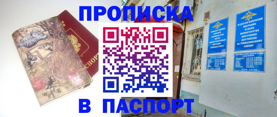 пропишу в квартире в Владимире